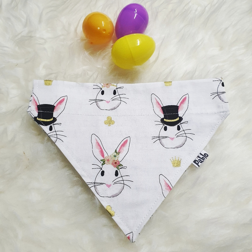 🐶 3 for $15 * Pablo Reversible Elegant Easter Bunnies Dog Collar - Picture 1 of 7